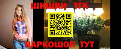спиды Камышлов