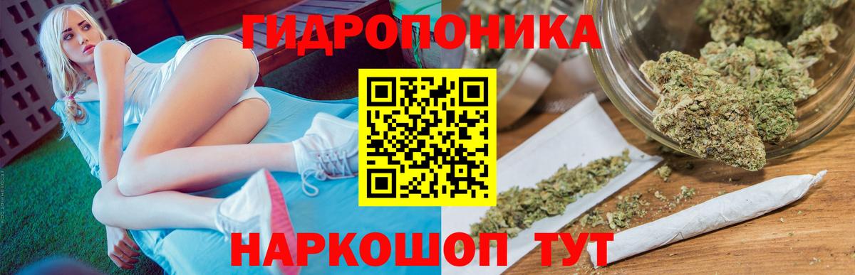 Конопля OG Kush Киреевск
